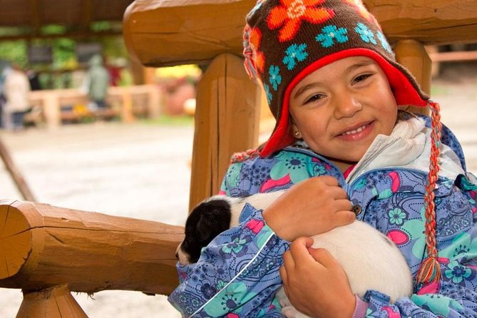 Musher's camp and s'more roasting experience starting point & guidance