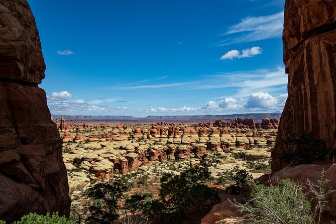 NEW! Canyonlands Needles Chesler Park Hiking Discovery Tour - What We Found Most Impressive