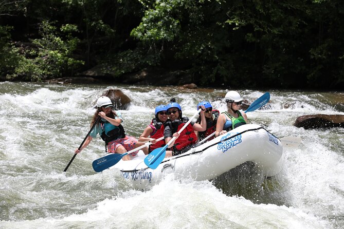 Ocoee River Middle Whitewater Rafting Trip (Most Popular Tour) - Worth the Price? Analyzing Value
