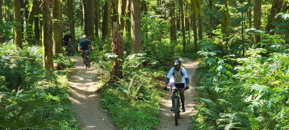 Seattle: Half Day All-Inclusive Mountain Bike Tour - The Sum Up: Who Is This Tour Best For?