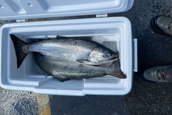 3 Hours Fishing Experience Class in Juneau - The Sum Up: Why This Fishing Tour Is a Win