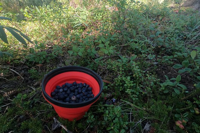 Backcountry Eats & Foraging Treats - Final Synopsis: Is It Worth It?