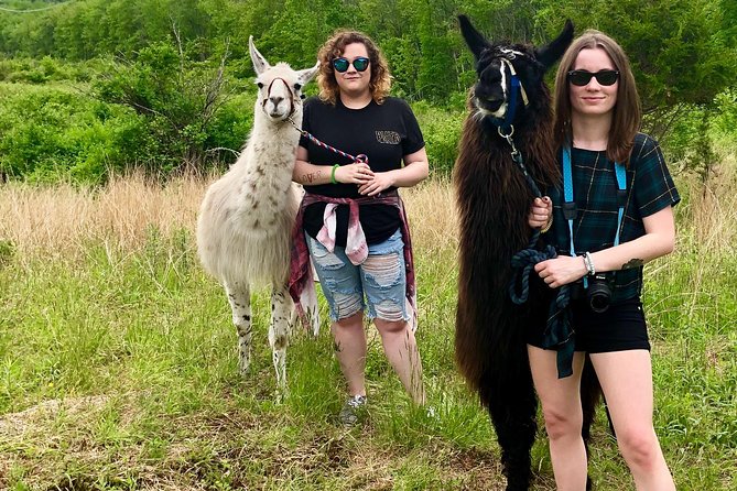 Llama/Alpaca Hike and Farm Tour - Who This Tour Is Best For
