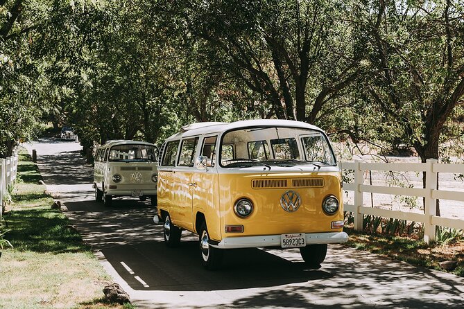 Los Angeles: Private Vintage VW Bus Tour in Malibu - Is This Tour Worth It?