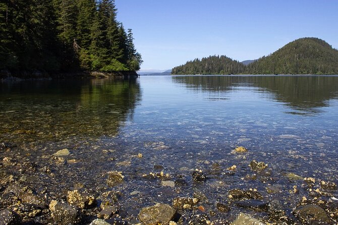 Adventure hike | alaskan wilderness trail what do travelers say?