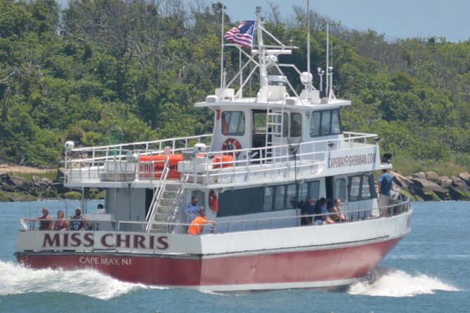 Afternoon fishing highlights of the cape may afternoon fishing tour