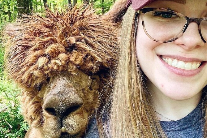Alpaca and Llama Trek in Pleasant Valley - Highlights
