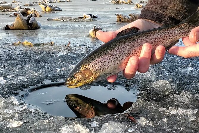 Anchorage Ice Fishing Adventure - Anchorage Ice Fishing Adventure: An Authentic Taste of Alaska’s Winter Wilderness