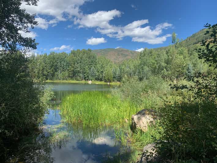 Aspen: Guided Light Hike with Roaring Fork River Views - What to Expect from This Light Hike in Aspen