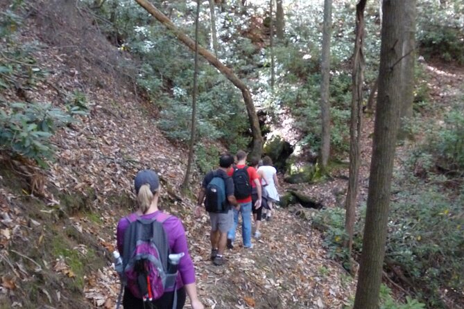 Bartram Trail Hike plus Wine Tasting - Highlights
