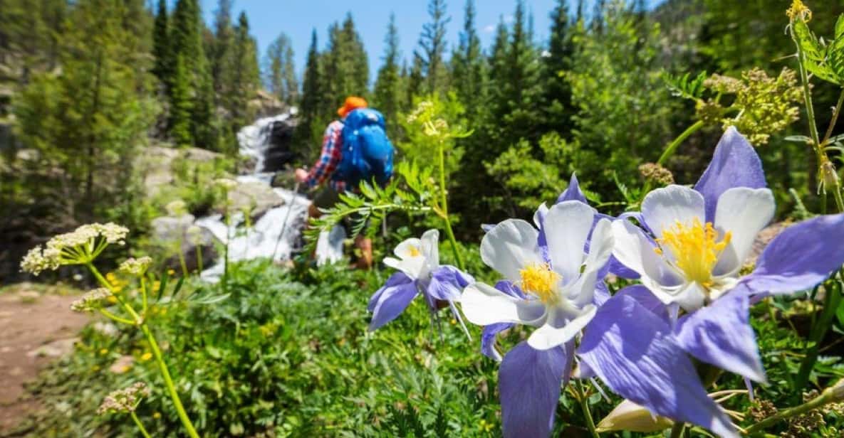 Breckenridge, CO: Half-Day Guided Scenic Hike - Highlights of the Breckenridge Guided Hike