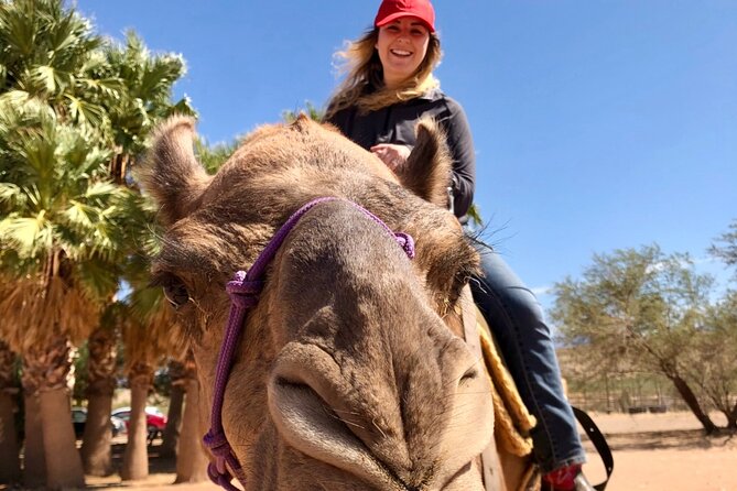 Camel Safari - Camel Ride and Zoo Tour - Highlights of the Camel Safari Tour