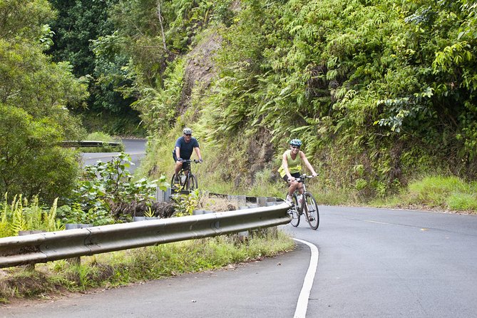 Downhill Bike and Ko'olau Waterfall Hike Tour - Exploring the Downhill Bike and Koolau Waterfall Hike Tour: A Honest Look