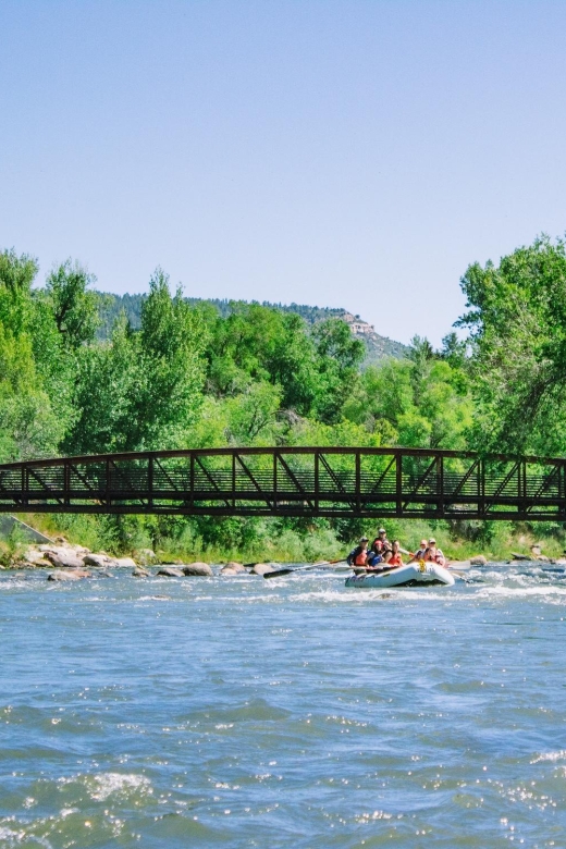 Durango 3/4 Day Rafting Trip with Lunch - Lower Animas River - Highlights