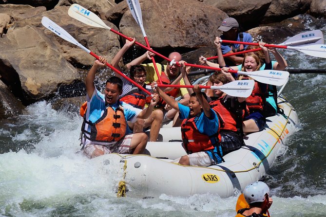 Durango Half Day Rafting Trip - Lower Animas River - Durango Half Day Rafting Trip - Lower Animas River: A Well-Rounded Water Adventure