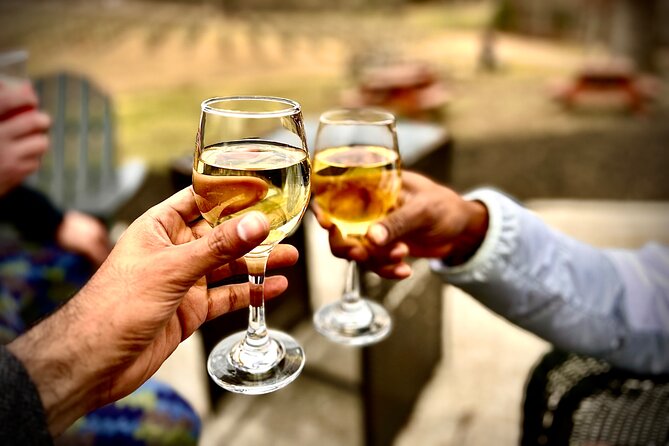 Elijay Hike w/ Waterfall & Wine Tasting Private Tour from ATL - Highlights of the Elijay Hike, Waterfall & Wine Tour