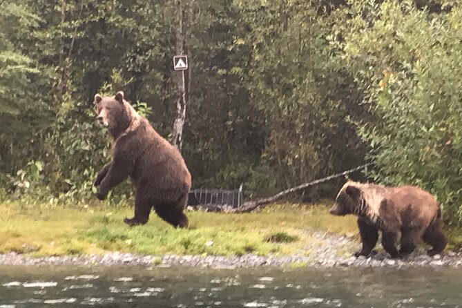 Full day fishing trips highlights of the full day fishing trip