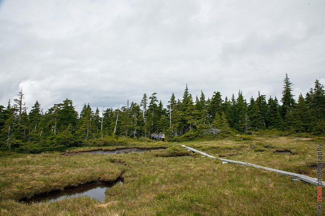 Full-Day Mount Riley Hike from Haines - Highlights