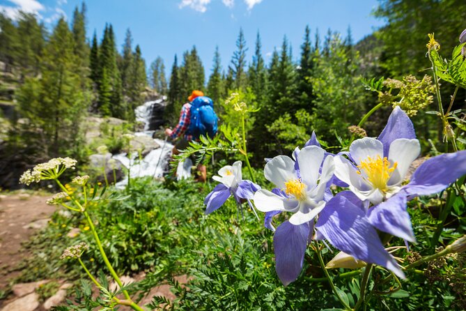 Guided Private Scenic Colorado Mountain Hiking - Half Day - Exploring the Guided Private Scenic Colorado Mountain Hiking - Half Day