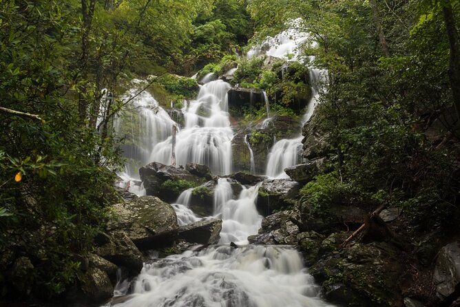 Half Day Hike - Water Falls - A Hidden Gem in Asheville: The Half Day Waterfall Hike