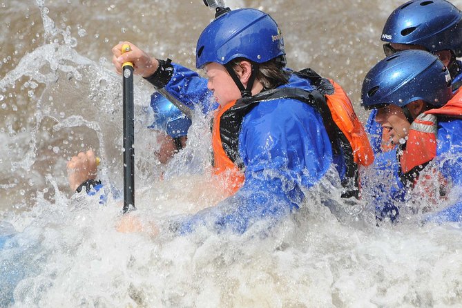Half-Day Royal Gorge Whitewater Rafting Adventure Cañon City CO - Highlights