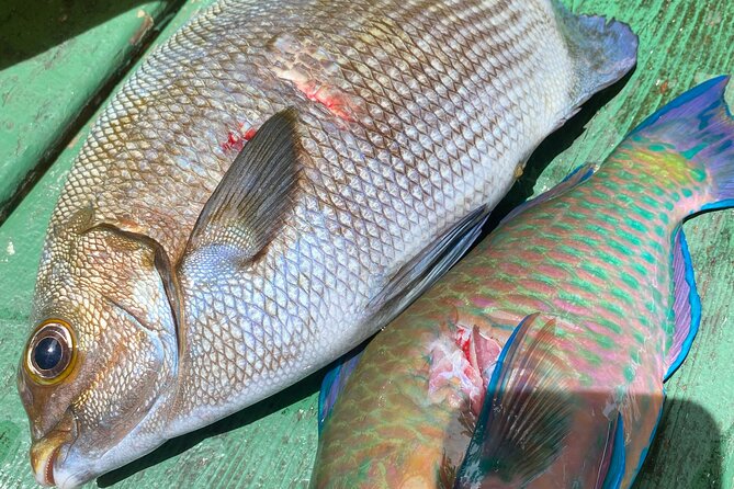 Hawaiian Reef Spearfishing Lesson for Beginners - Highlights