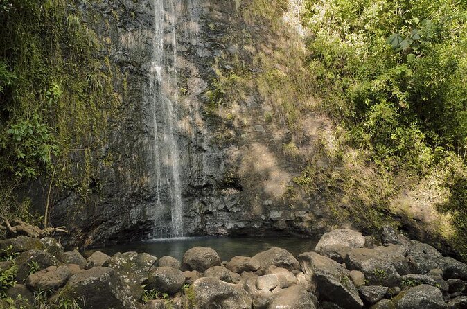 Hike Trail to Waterfall & Nature Walk - An Honest Look at the Hike Trail to Waterfall & Nature Walk in Honolulu