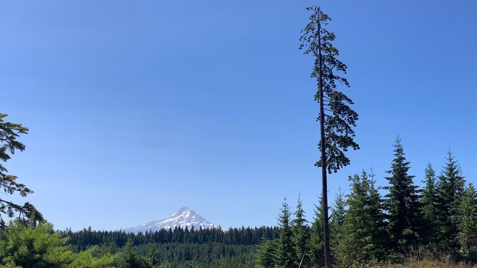 Hood River: All-Day E-Bike Rental - Highlights of the Hood River All-Day E-Bike Rental