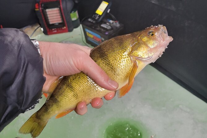Ice fishing in park city highlights