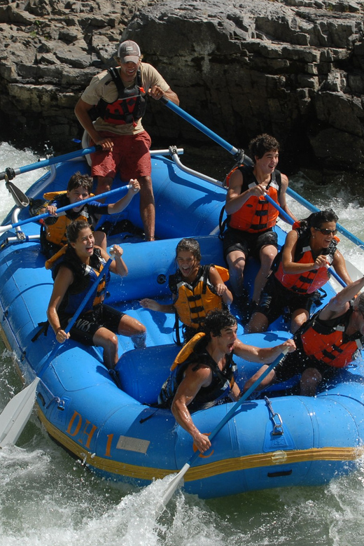 Jackson: 4-Hour Small Boat Snake River Whitewater Rafting - Highlights of the Snake River Whitewater Experience