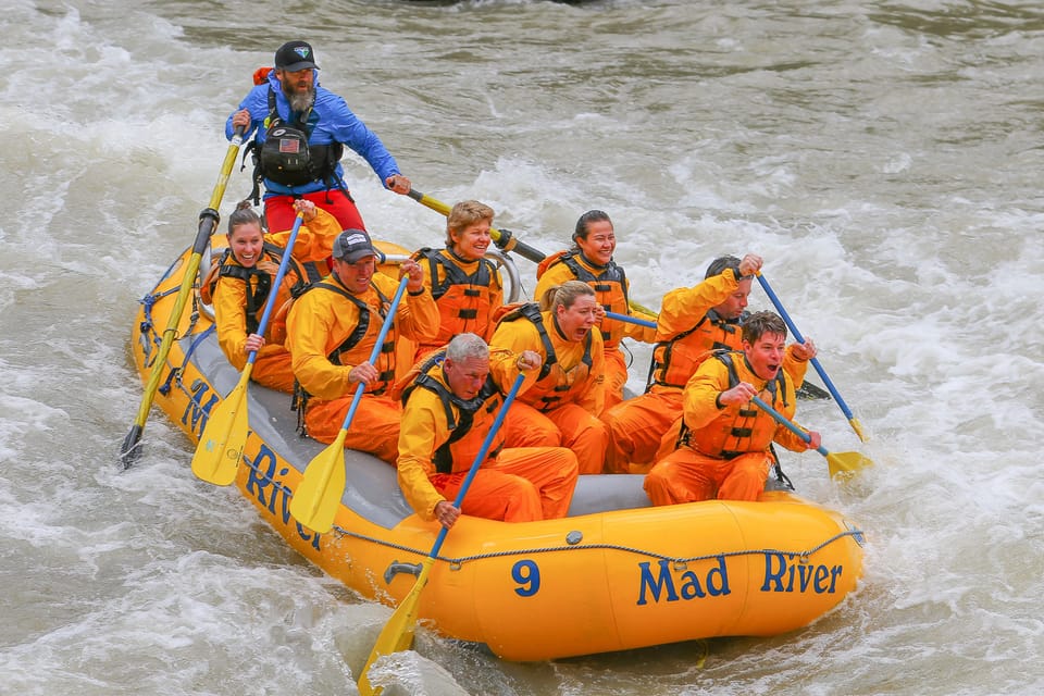 Jackson: 8-Mile Small-Boat Whitewater Rafting Trip - Highlights