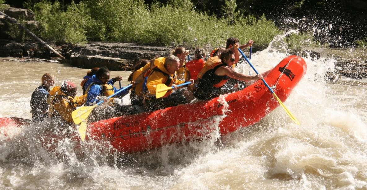 Jackson hole: snake river whitewater rafting tour highlights of the snake river rafting experience