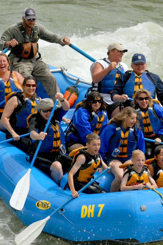 Jackson Hole: Snake River Whitewater Rafting - Highlights of the Snake River Whitewater Rafting Tour