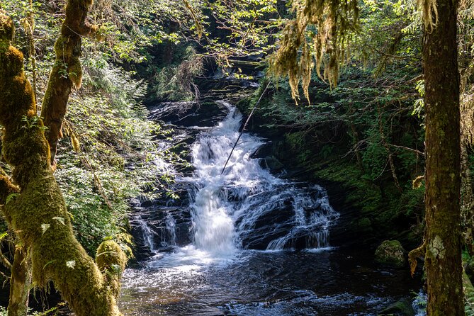 Ketchikan Magical Old-Growth Creek Trek Guided Tour - Highlights of the Ketchikan Old-Growth Forest Trek