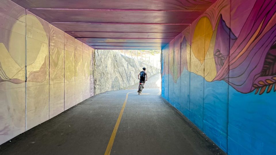 Lake Tahoe: Electric Bike Day Rental - Highlights