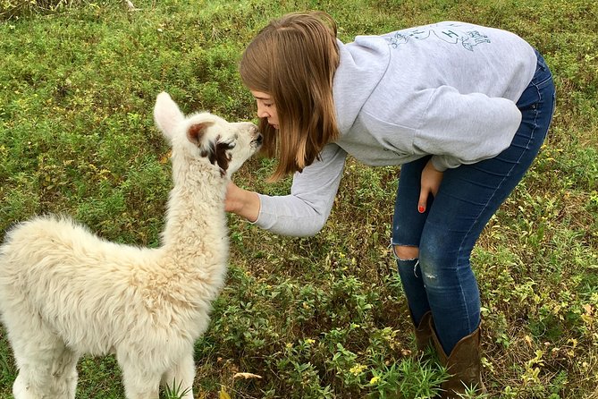 Llama/Alpaca Hike and Farm Tour - Introduction
