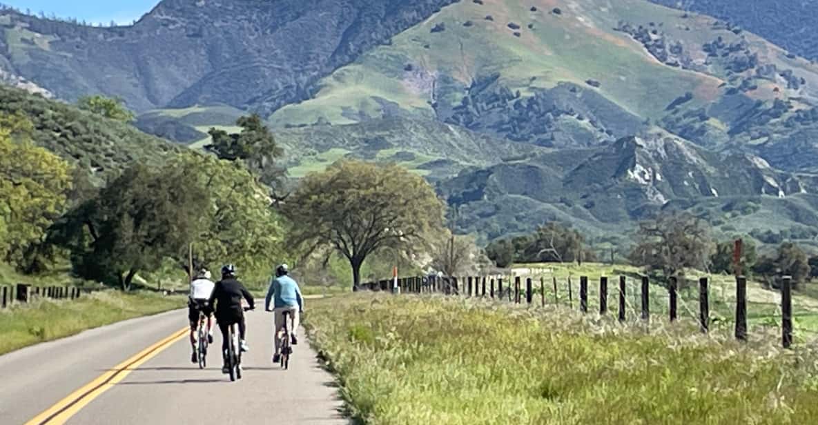 Los olivos: e bike tour + vineyard lunch w/wine tasting the itinerary detailed: what to expect