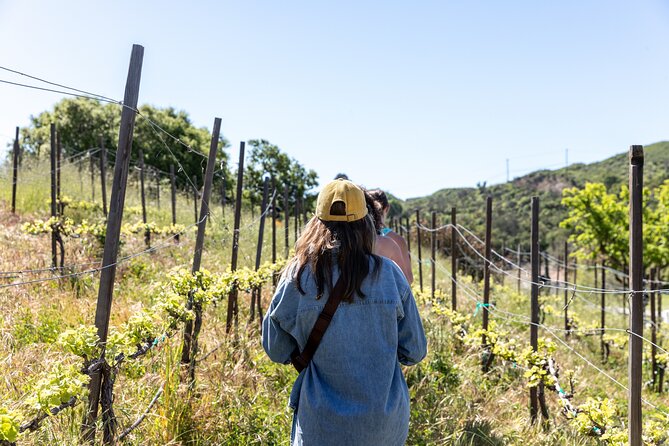 Malibu: Guided Vineyard Hike with Photo Stops and Wine - Highlights