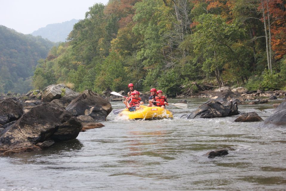 Marshall: French Broad Whitewater River Rafting Experience - Highlights of the French Broad River Rafting Tour