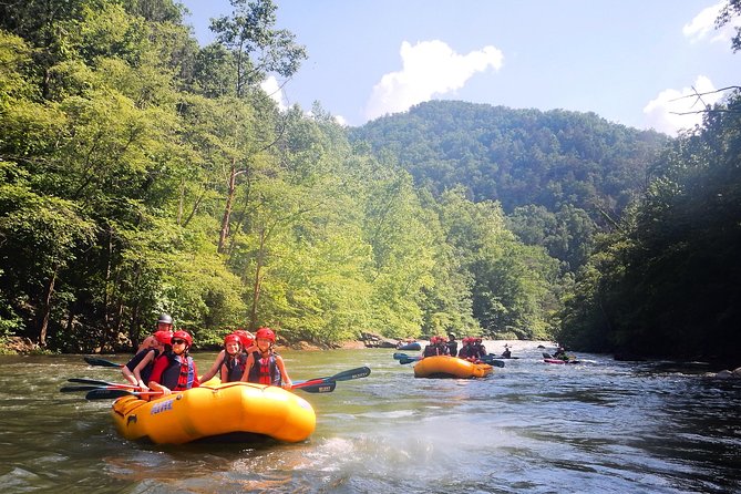Middle Ocoee River Rafting Adventure Tour - Highlights of the Middle Ocoee River Rafting Tour
