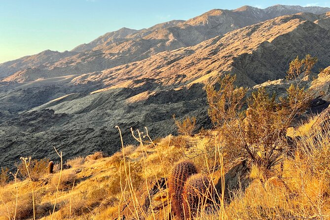 Mountain Sunrise Hike and Meditation in Palm Springs - What to Expect on the Sunrise Hike and Meditation in Palm Springs