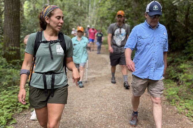 Mountaineer's Way Hike in the Smokies - Exploring the Mountaineers Way Hike in the Smokies: An Honest Look