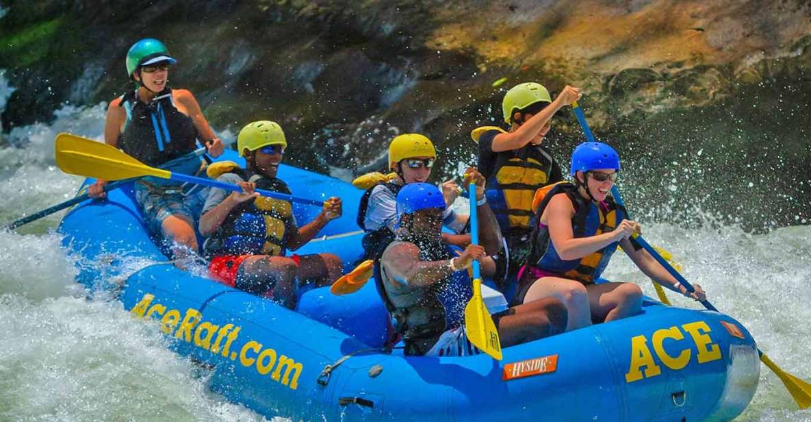 New River Gorge Whitewater Rafting - Lower New Half Day - Highlights: What Makes This Rafting Trip Stand Out