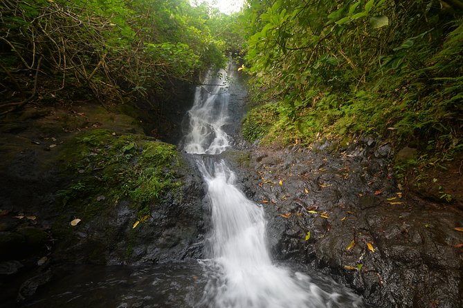 Oahu hidden waterfall hike: a tropical paradise adventure highlights of the oahu hidden waterfall hike