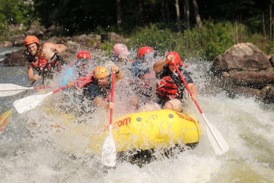 Ocoee River: Middle Ocoee Guided Rafting Tour - Highlights of the Middle Ocoee Guided Rafting Tour