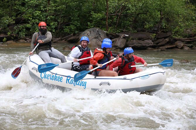 Ocoee River Middle Whitewater Rafting Trip (Most Popular Tour) - Highlights of the Middle Ocoee River Rafting Adventure