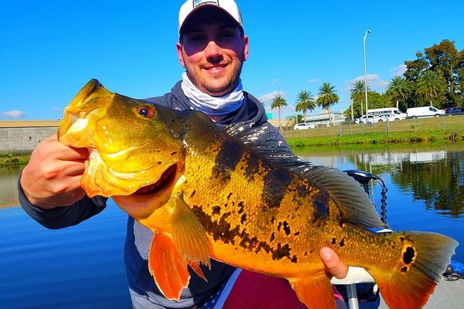 Peacock Bass Fishing Trips Near Miami Florida - Highlights of the Peacock Bass Fishing Trip