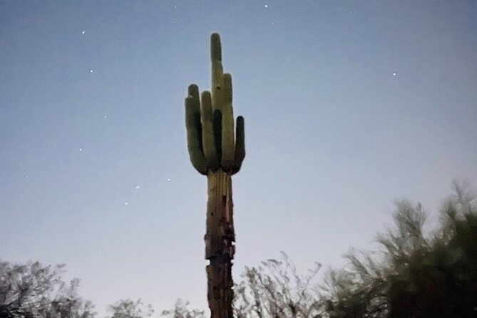 Phoenix Mountains Preserve Night Glow Hike - Highlights