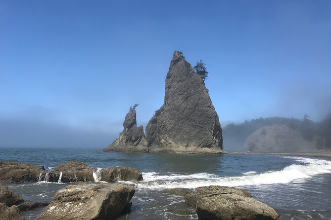 Private Day Hike- Rialto Beach Tide Pooling - Uncovering the Coastal Wonders of Olympic National Park: A Review of the Rialto Beach Tide Pooling Tour