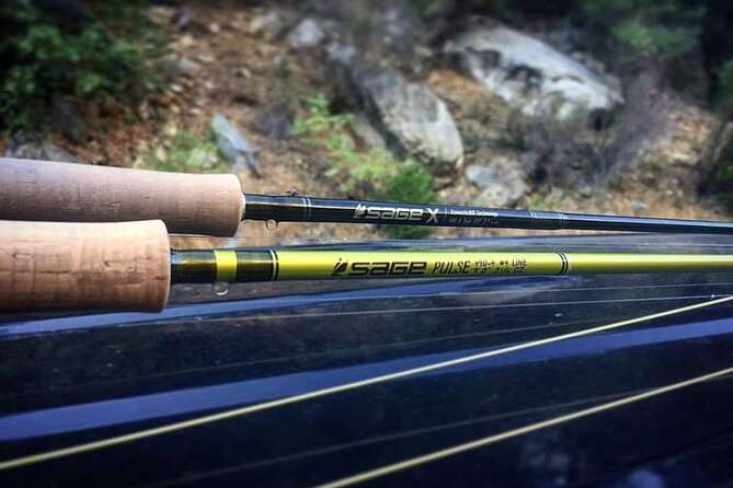 Private Full Day Fly Fishing For Beginners and Experienced Anglers - Highlights